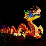 Chinese New Year 2026