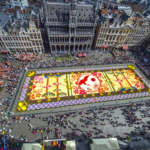 Flower Carpet in  Brussels in  Belgium