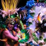 Folklore Day in  Brazil
