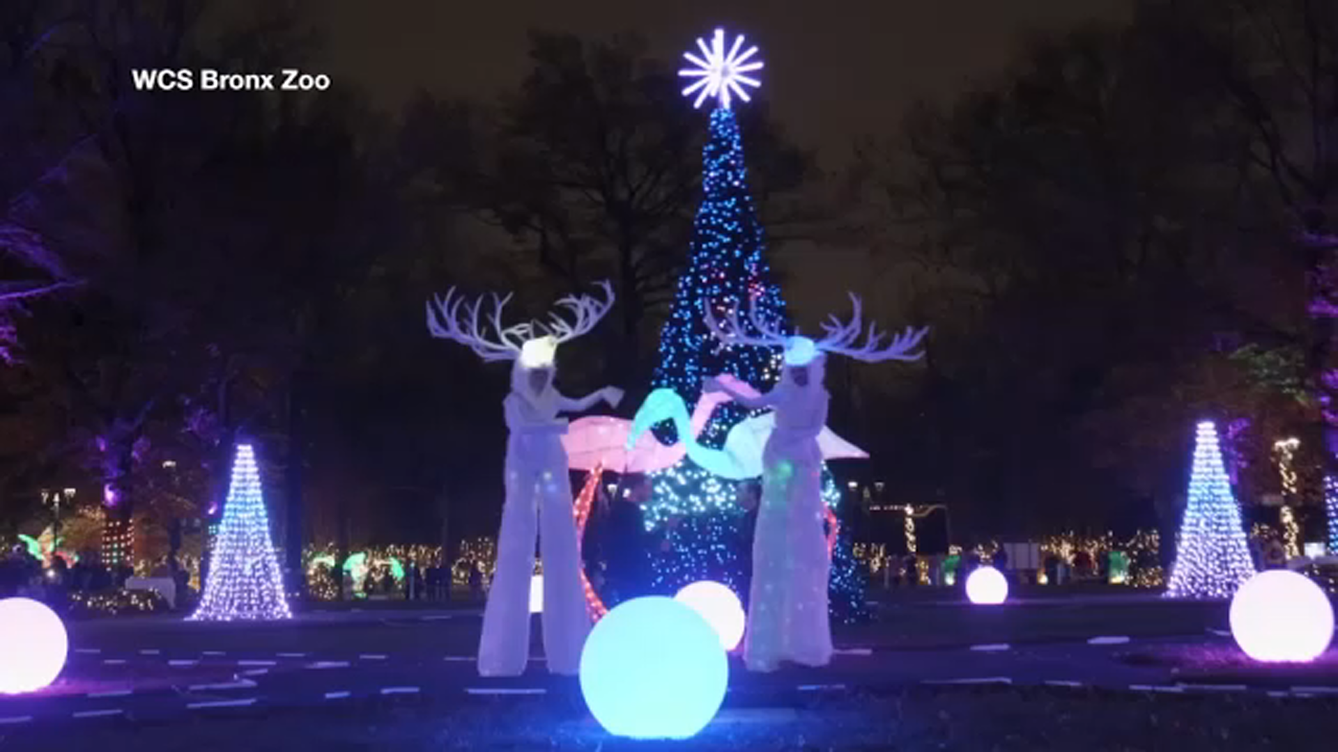 Bronx Zoo kicks gets families in the holiday spirit with ‘Holiday Lights’