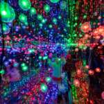 Here’s a sneak peek of the twinkly new displays at the NC Chinese Lantern Festival