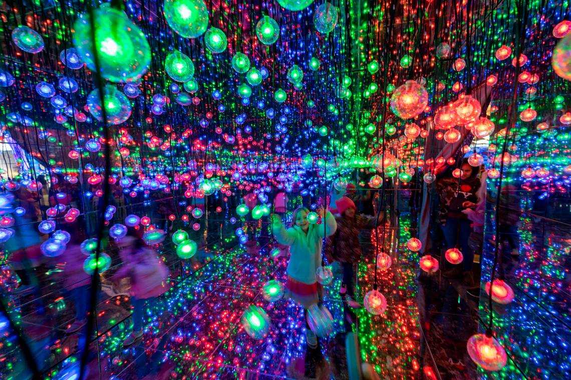 Here’s a sneak peek of the twinkly new displays at the NC Chinese Lantern Festival