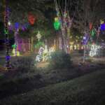 SC family will compete on reality show Great Christmas Light Fight