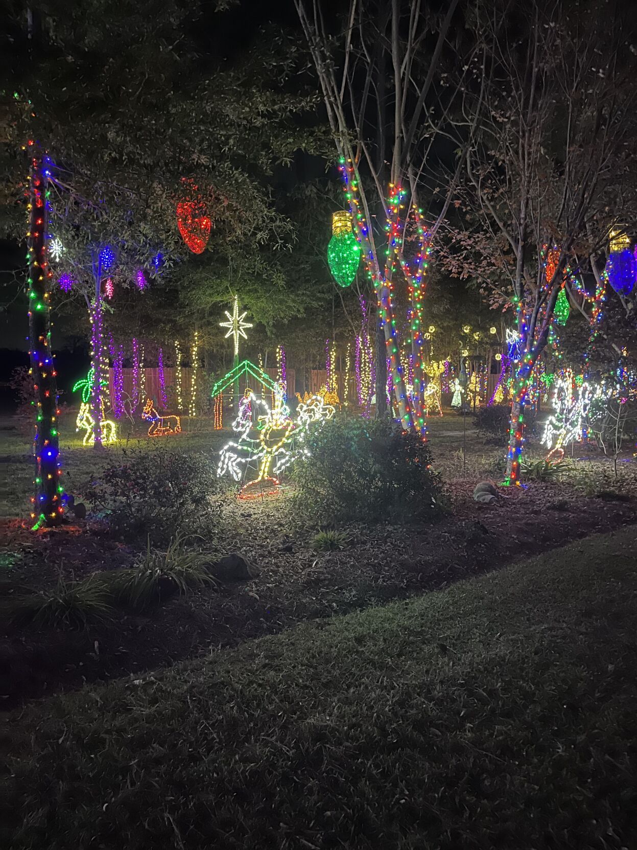 SC family will compete on reality show Great Christmas Light Fight