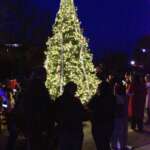 Christmas magic comes to downtown Florence