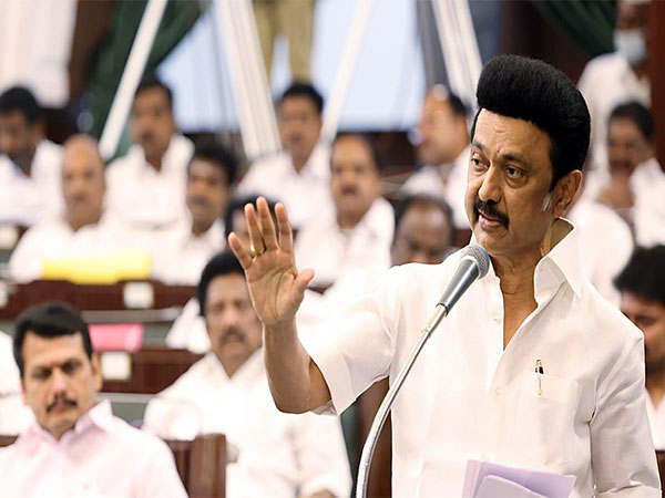 Tamil Nadu: CM Stalin instructs party cadres from rain-affected districts to assist in relief work