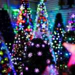 Celebrating Christmas, holidays in metro Atlanta/North Georgia | 2023