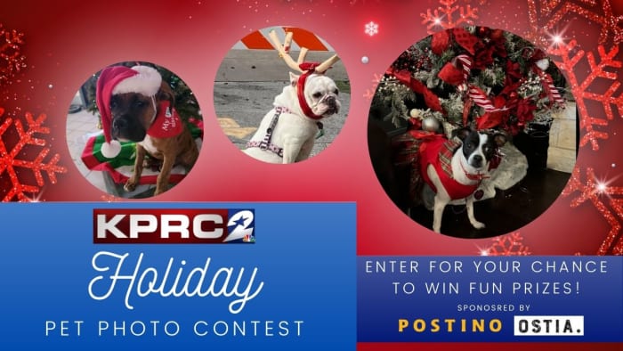 Furry festivities: Unleash the cheer for our Holiday Pet Contest