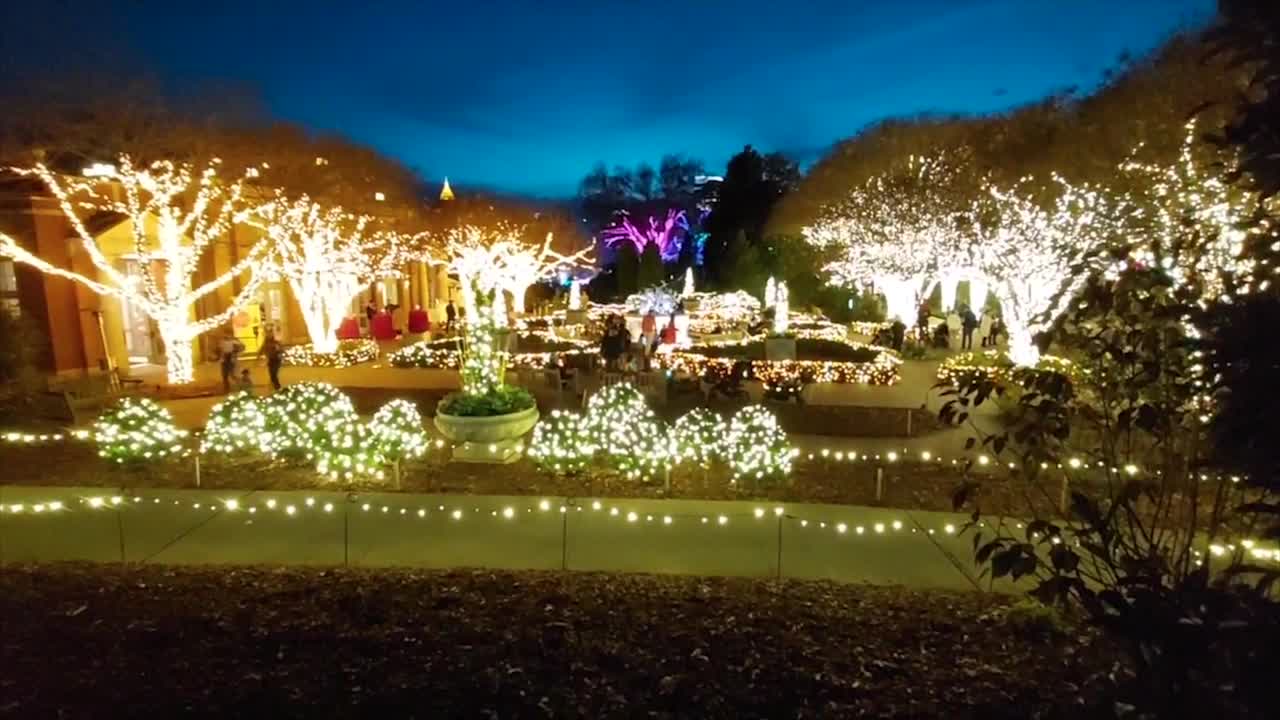 Atlanta Botanical Garden’s holiday light show ‘shines’ brighter than ever