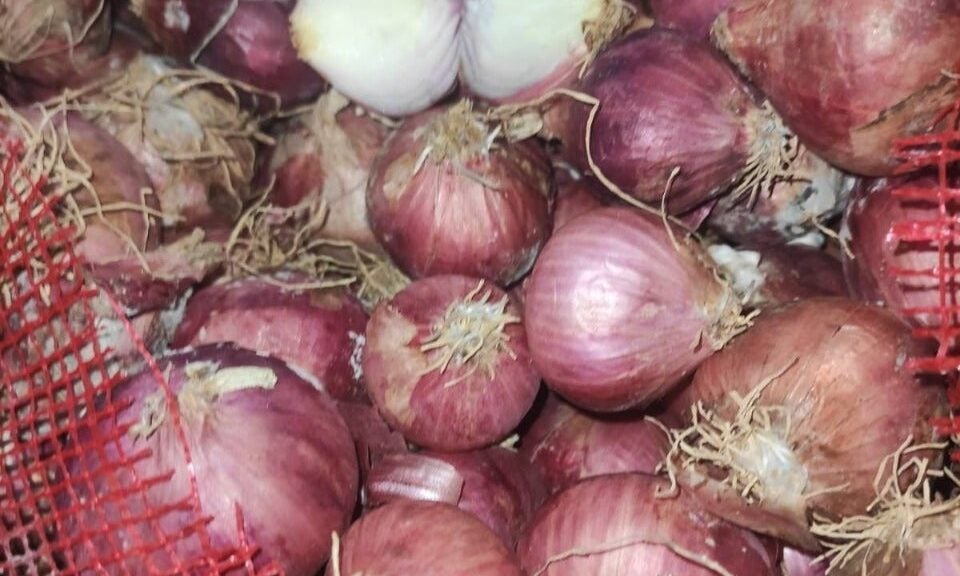 PH to import onions for holiday season–DA | Inquirer News