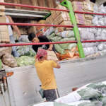 What peak season sales? Veggie farmers hit smuggling | Inquirer News
