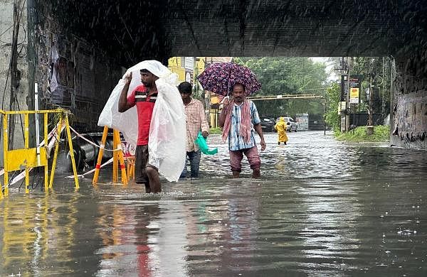 Heavy rain brings crocodile to Chennai road, December 5 to be a public holiday