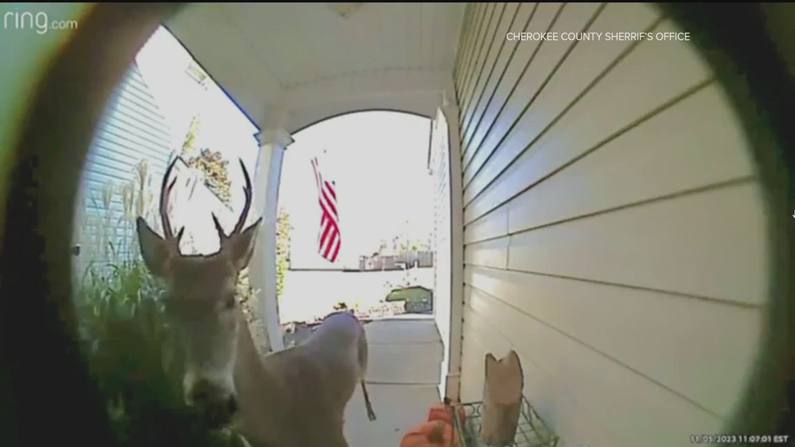 Cherokee County Sheriff’s Office warns for four-legged ding dong ditch suspect