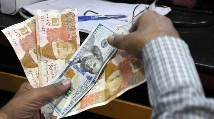 Rupee falls for 14th day against dollar