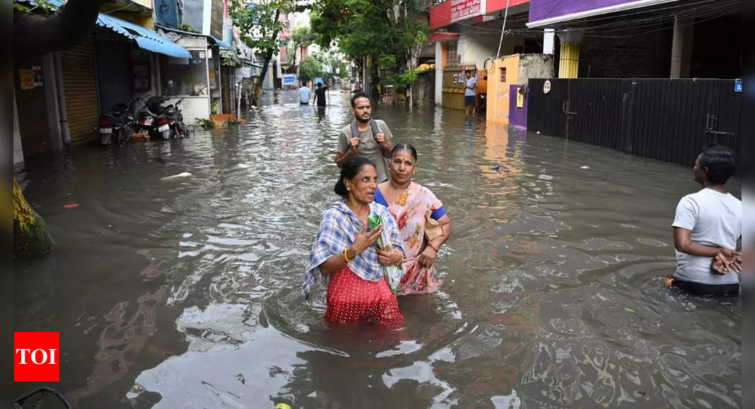 One more holiday declared for Chennai schools and colleges | Chennai News – Times of India