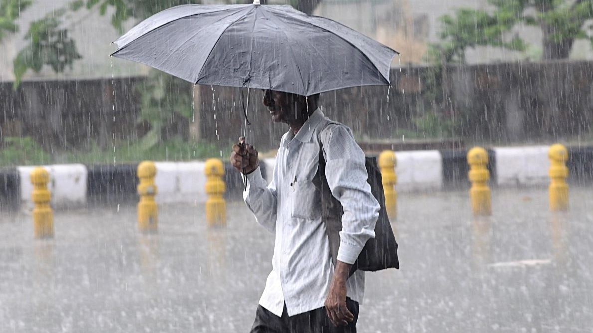 Tamil Nadu Rains: Schools Closed In Several Districts As IMD Predicts Heavy Showers Across State; Check Details