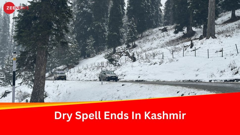 Spectacular Snowfall Transforms Kashmir: Tourists Rejoice As Nature Blankets Valley in White Splendor