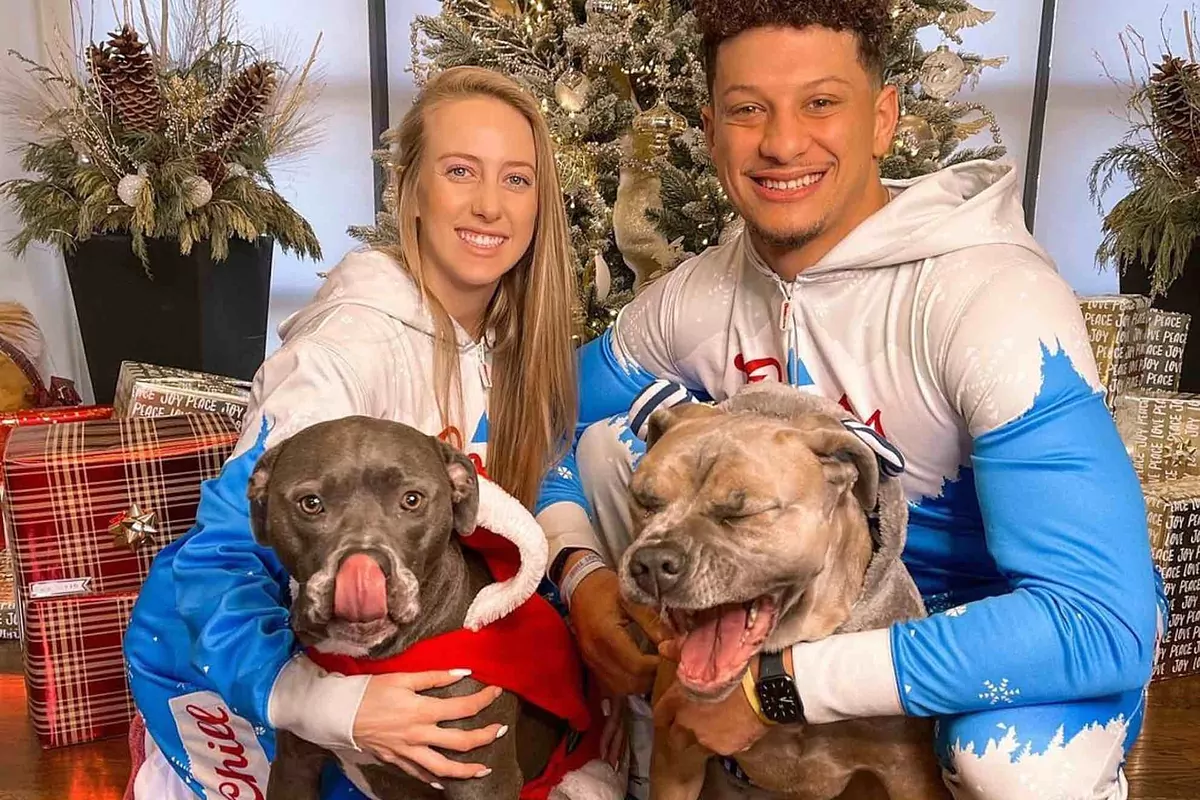 Brittany Mahomes shows off the feast of food her privileged dogs eat every day