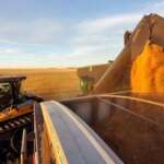 Russian wheat export prices edge up over last two holiday weeks