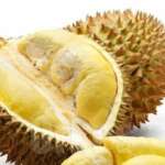 Vietnam durian price rises sharply as Chinese demand surges
