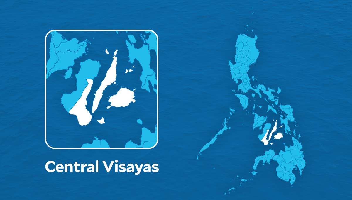 New Year 2024 in Central Visayas ‘safe and secured’ – Police