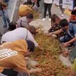 Smuggling blamed for carrot glut in Benguet | Inquirer News