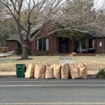 How to recycle your Christmas tree in Austin