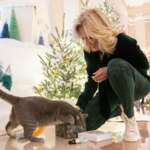 Willow the Cat Tours White House Decorations With Jill Biden: ‘It’s Amazing’
