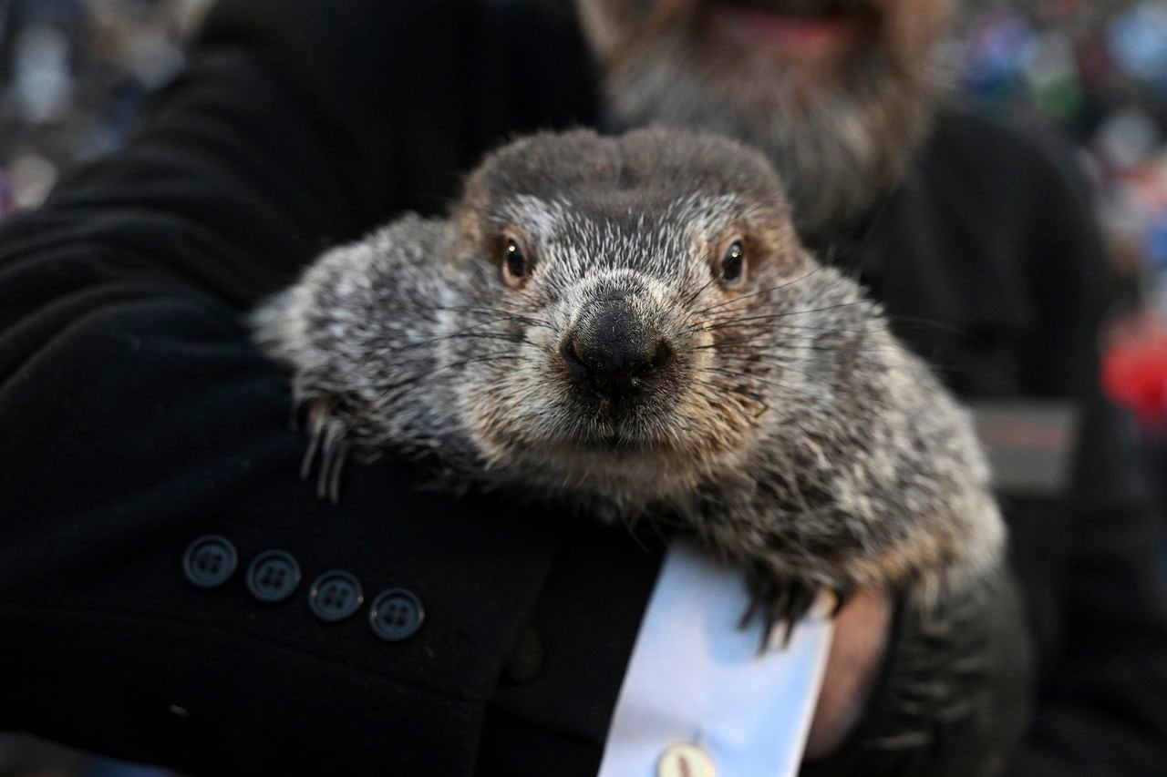 Groundhog Day 2024: 7 things you might not know about the tradition