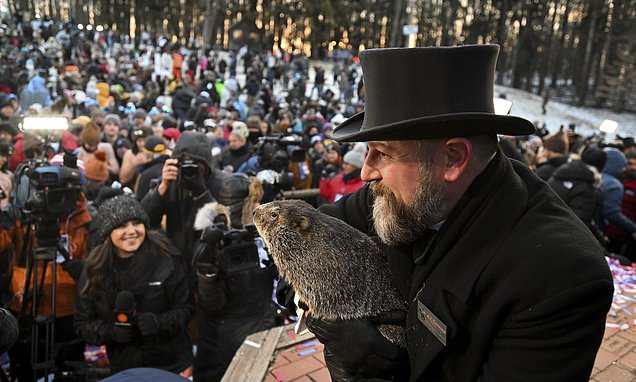 Groundhog Day’s biggest star is Phil, but the holiday’s deep roots…