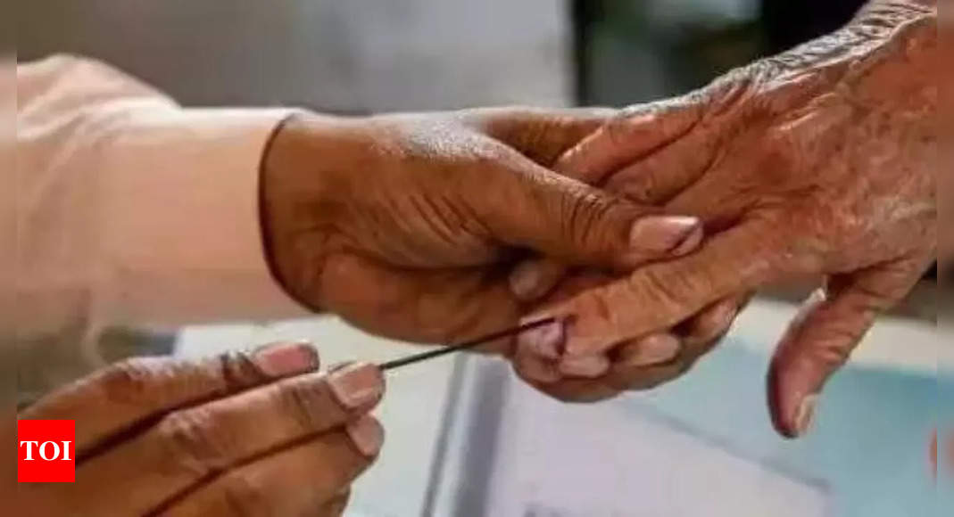 Bihar declares paid holiday on voting days | Patna News – Times of India